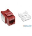 JACK RJ45 CAT5E INTELLINET UTP KEYSTONE DE IMPACTO ROJO